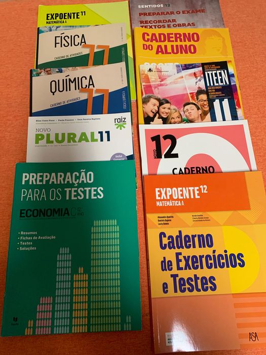 Cadernos de exercícios de 11 ano