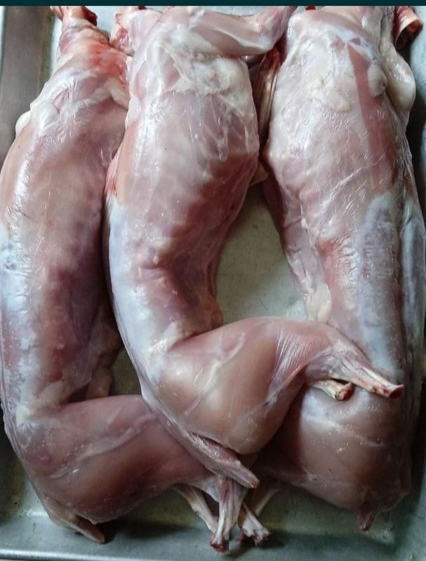 Продам м'ясо кролика.