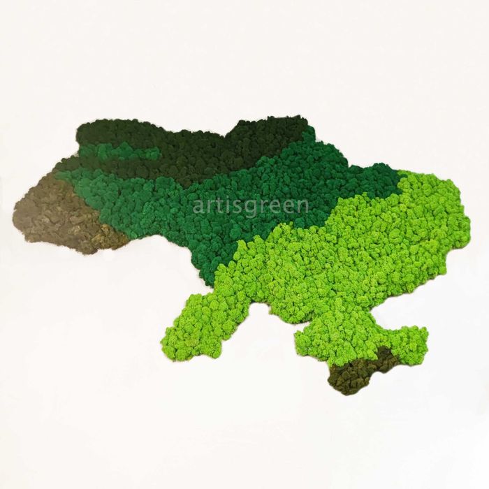 Виготовлення інтер'єрних карт зі стабілізованого моху ягелю для декору