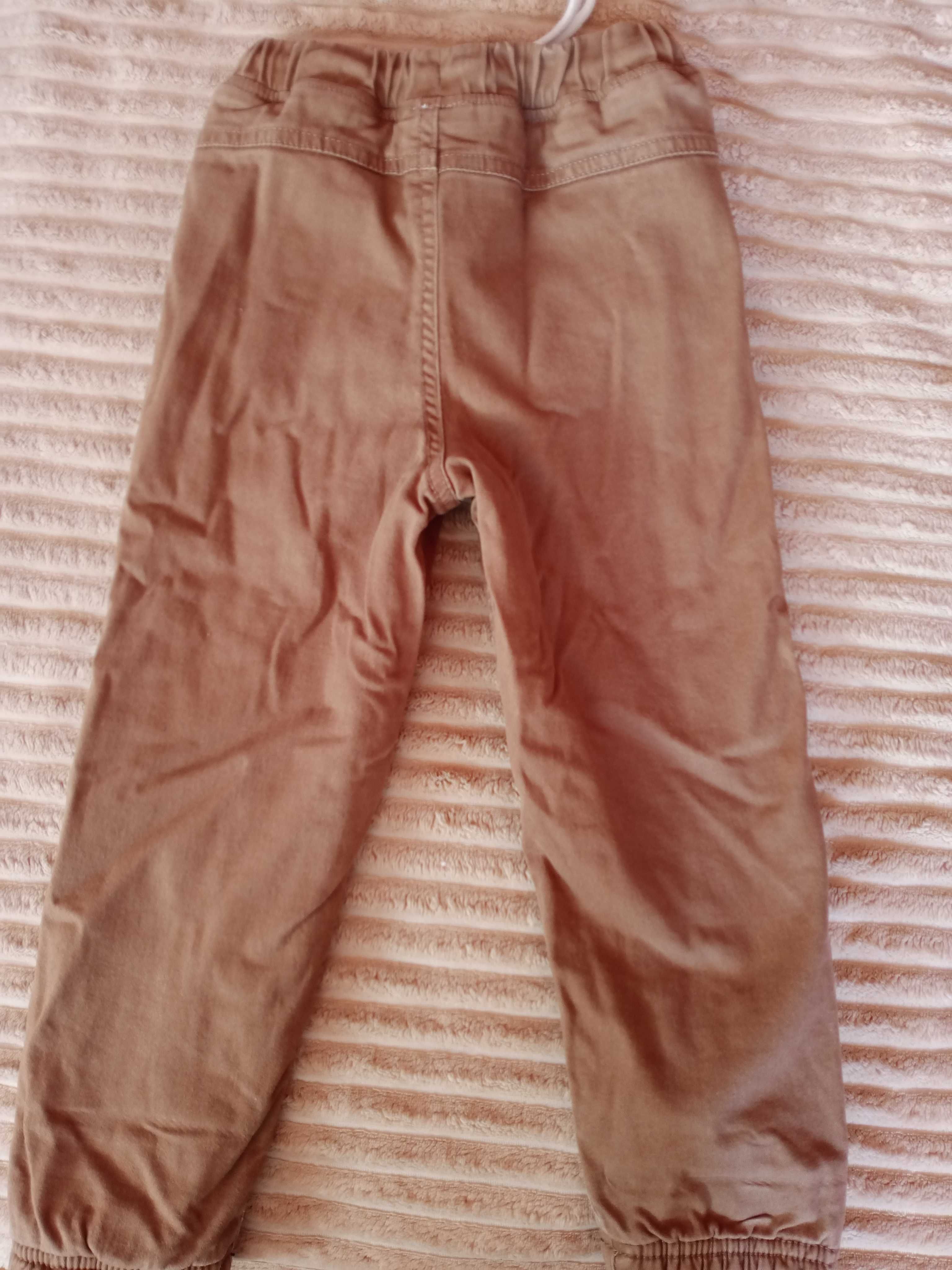 Утеплені штани для хлопчика, 110-116