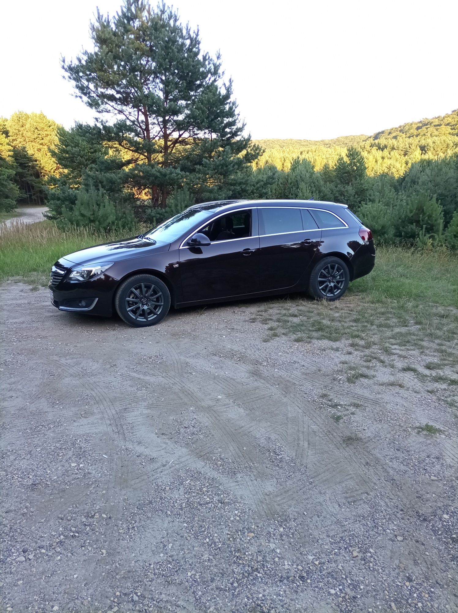 Opel Insignia 2.0 cdti, 2014r.