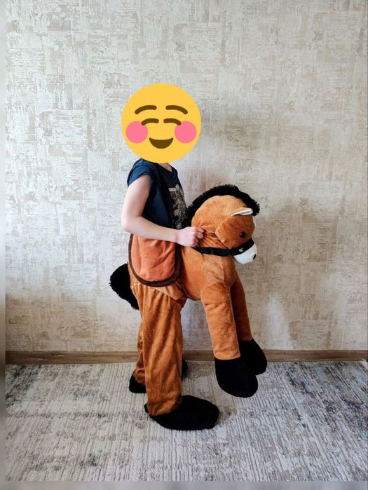 Костюм коника в відмінному стані розмір 110-116