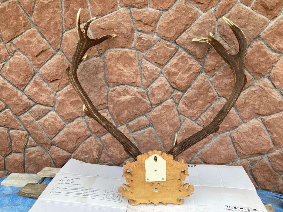 Роги оленя натуральні