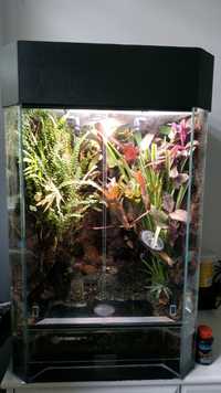 Paludarium terrarium tropikalne wiwarium 50cmx50cmx70cm + 12cm pokrywa