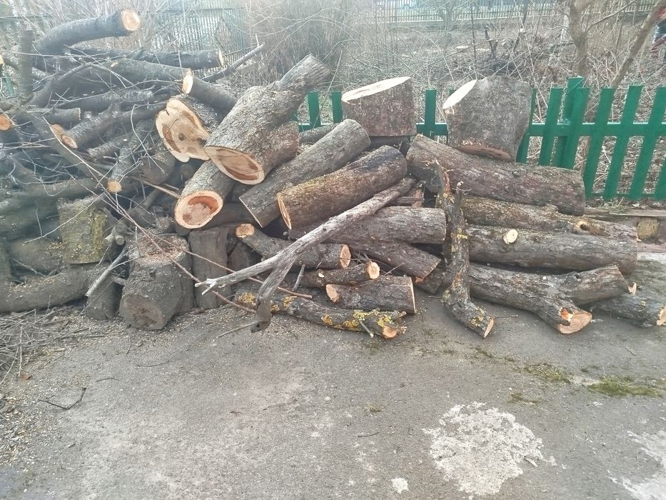 Продам дрова яблуні та вишня
