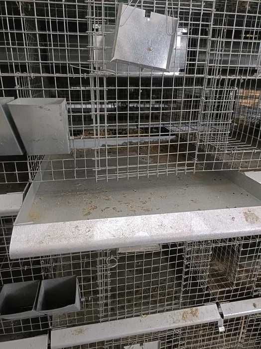 Klatki hodowlane dla szynszyli, królików, regał na kółkach wyposażony