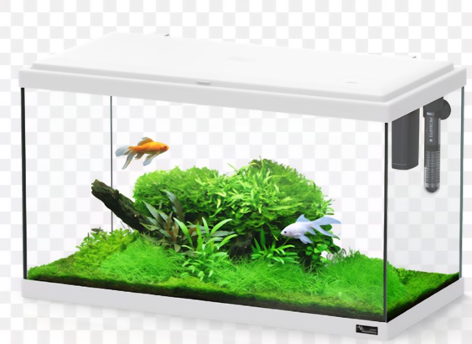 Aquarios de diferentes tamanhos