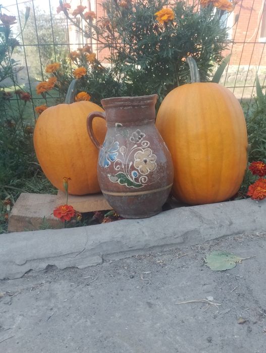 Гарбузи для творчості