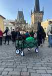XXL 3w1 Mocny Wózek Ogrodowy Plażowy Transportowy Składany Wodoodporny