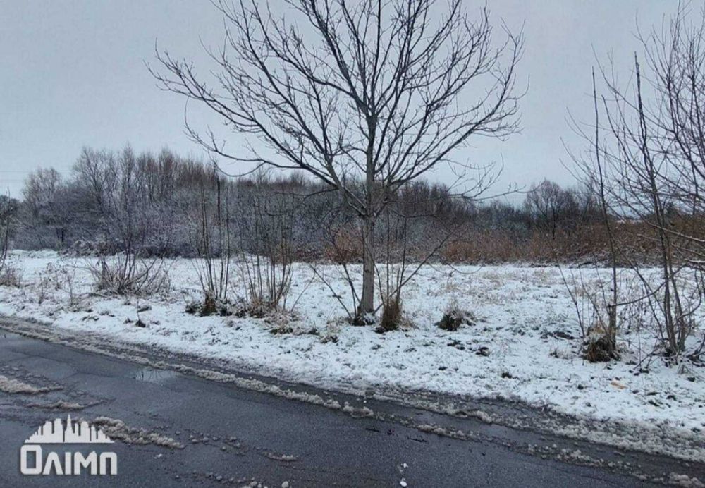 Продам ділянку в Ксаверівці 4904