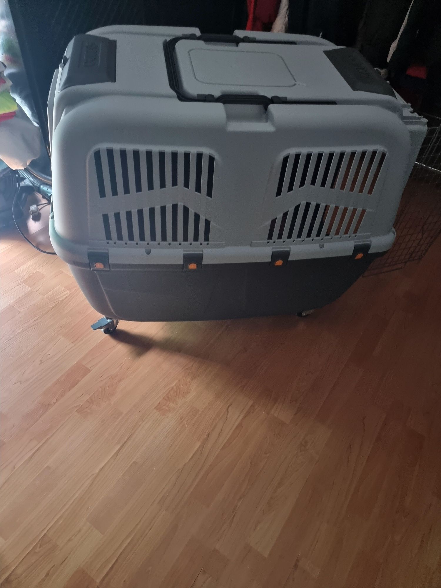Transportadora skudo 7 nova