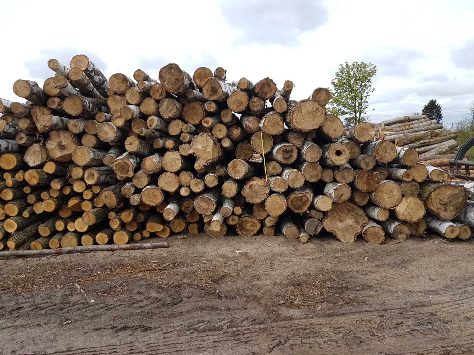 DrewKom drewno kominkowe BRZOZA kłoda dl. 2,5m S2a S2b transport HDS