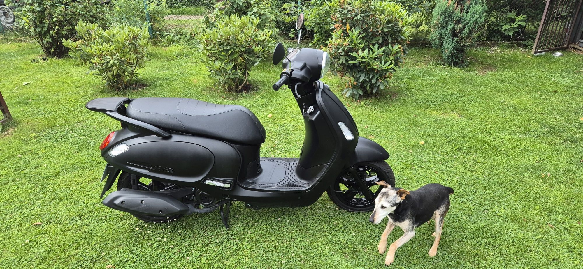Sym Fiddle 49 cm3 Retro Vespa 777 km 2024r