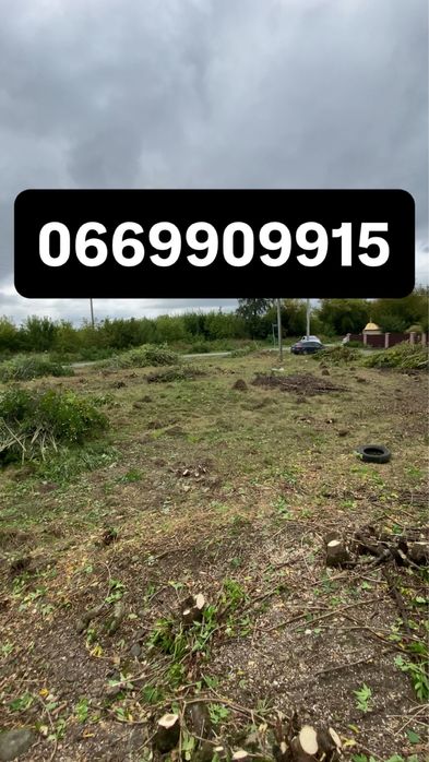 Чистка ділянок зрізання дерев любої складності