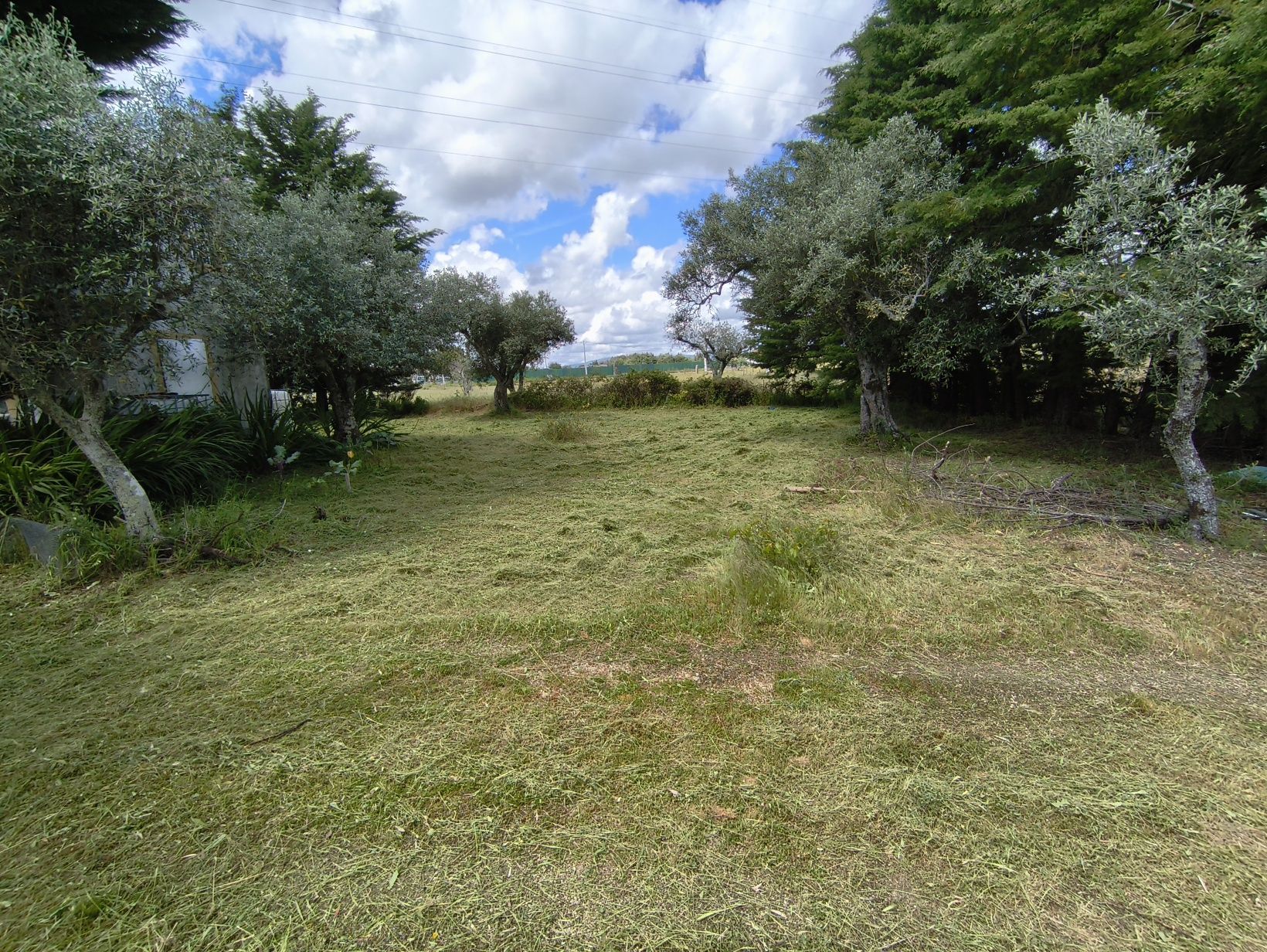 Limpeza de terrenos