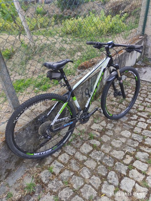 Biciclete Coluer Pragma