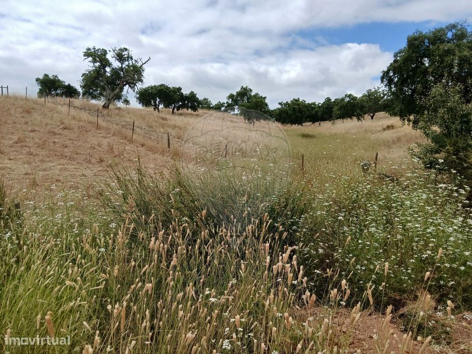 Terreno  para venda