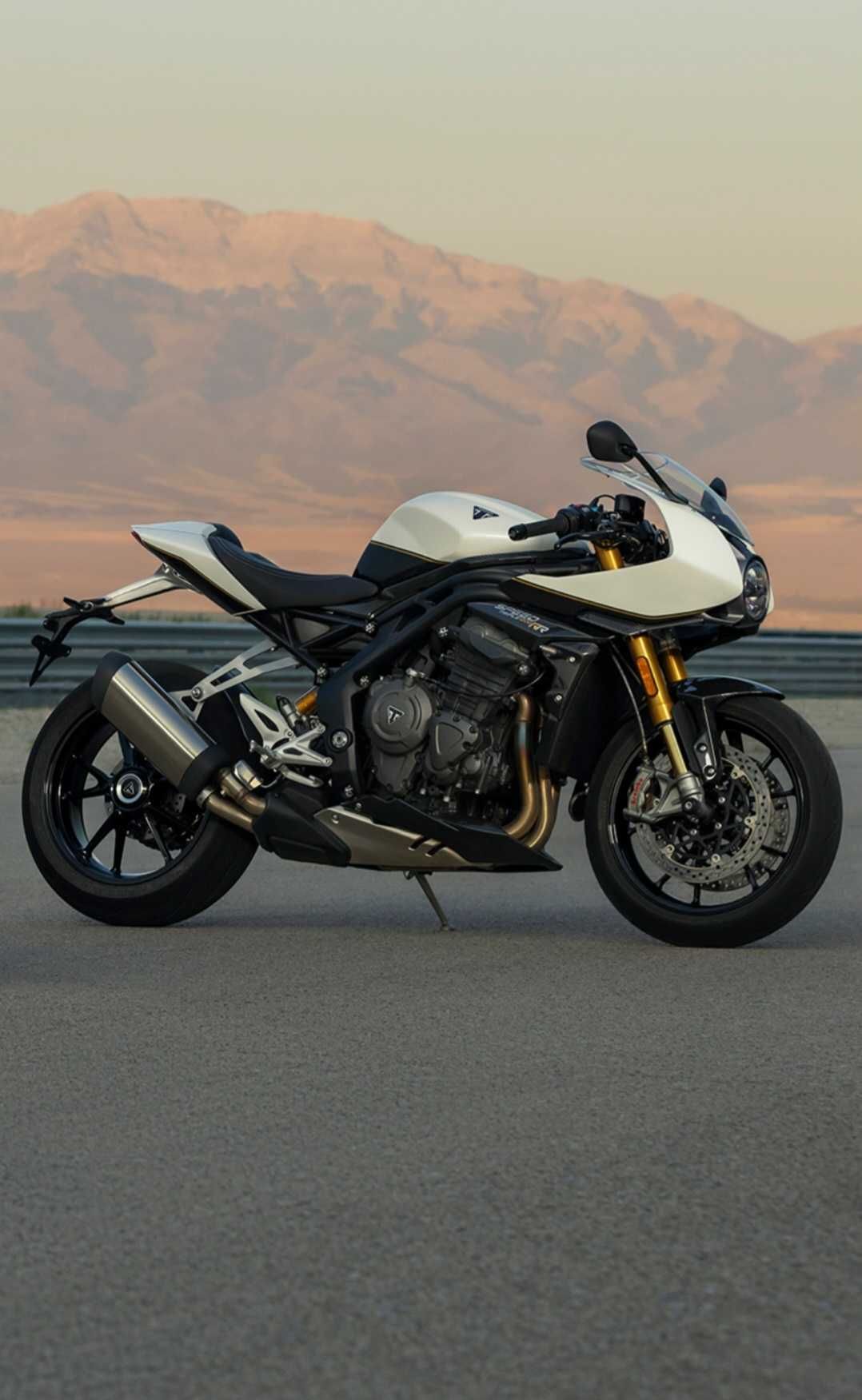 Triumph Speed Triple 1 200 RR