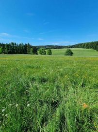 Piękna Działka Mochnaczka Wyżna