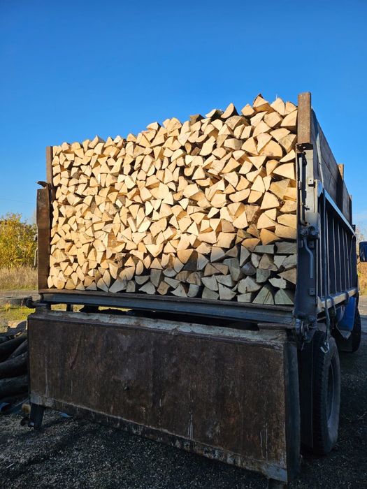 Дрова твердих та мʼяких порід