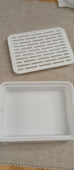 Caixa erva gatos e cães