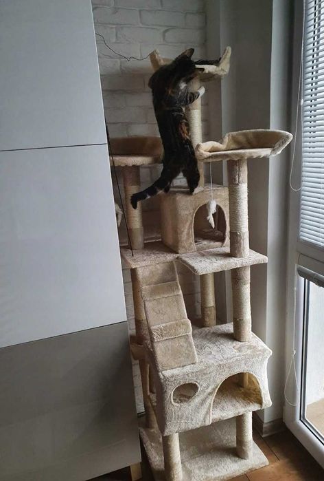 drapak dla kota wysoki 170 cm domek zabawki legowisko czarny - Nowy