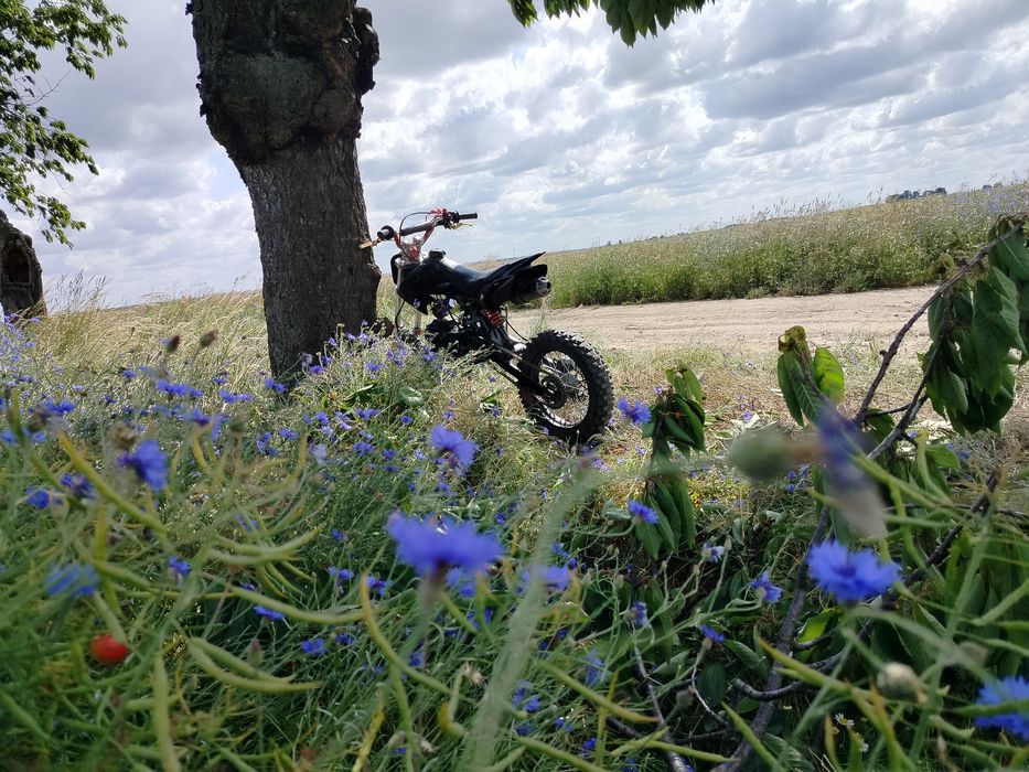 Sprzedam Crossa xtr