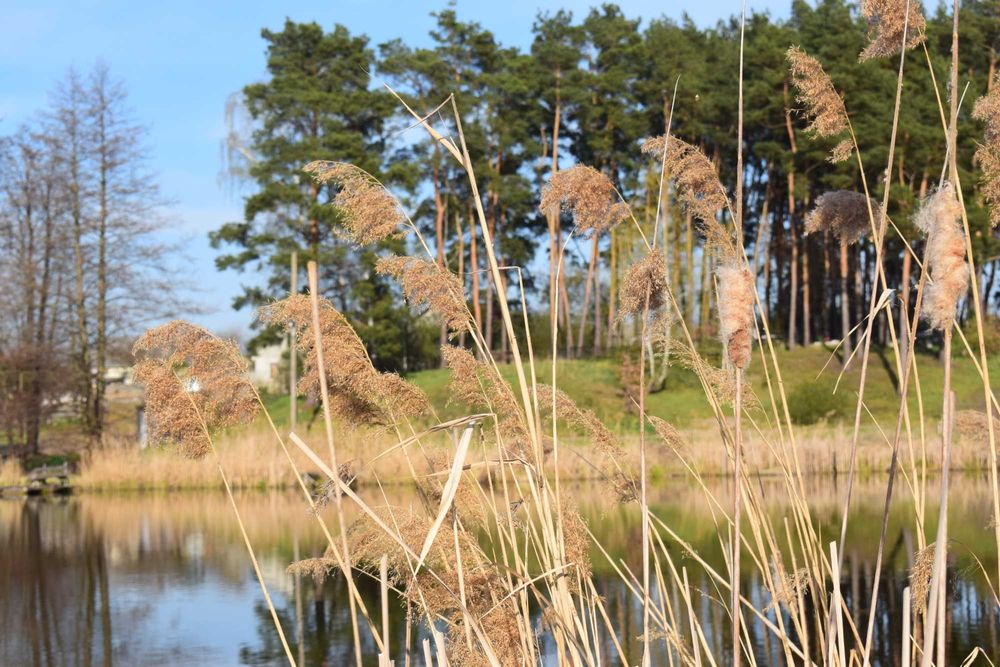 Будинок з прямим виходом до озера! Неймовірний краєвид,затишна локація