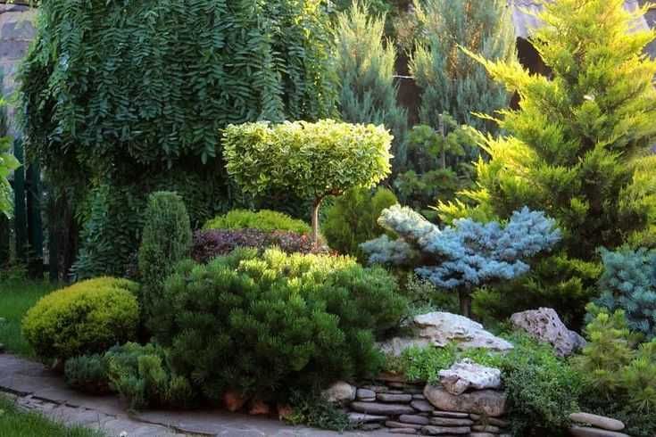 Serviços de jardinagens em Lisboa e arredores 10euros hora