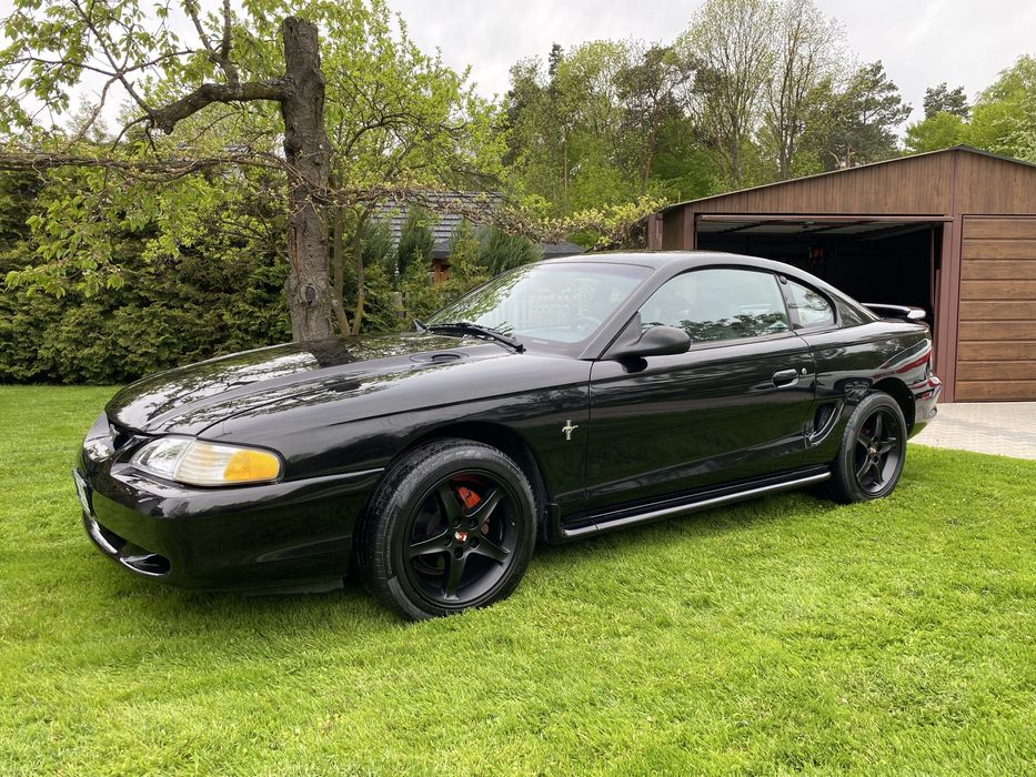 Ford Mustang V6 manual.