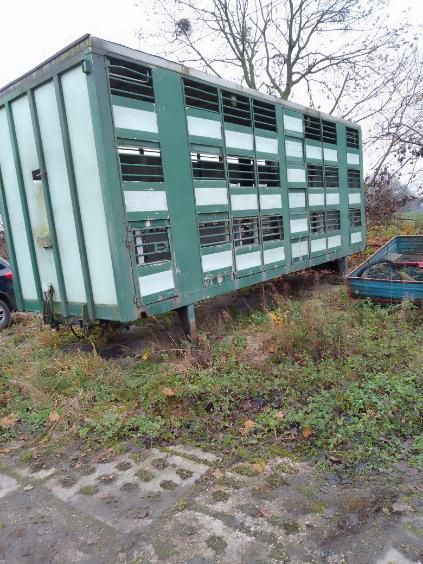 Samochody Ciężarowe Do przewozu zwierząt