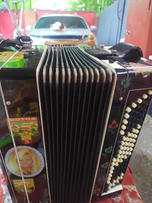 Баян Тульський Б-52х100