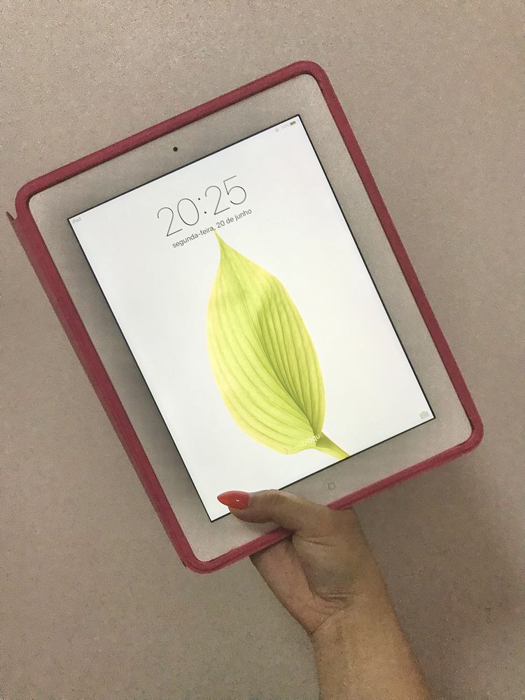 iPad 16gb Silver + Capa