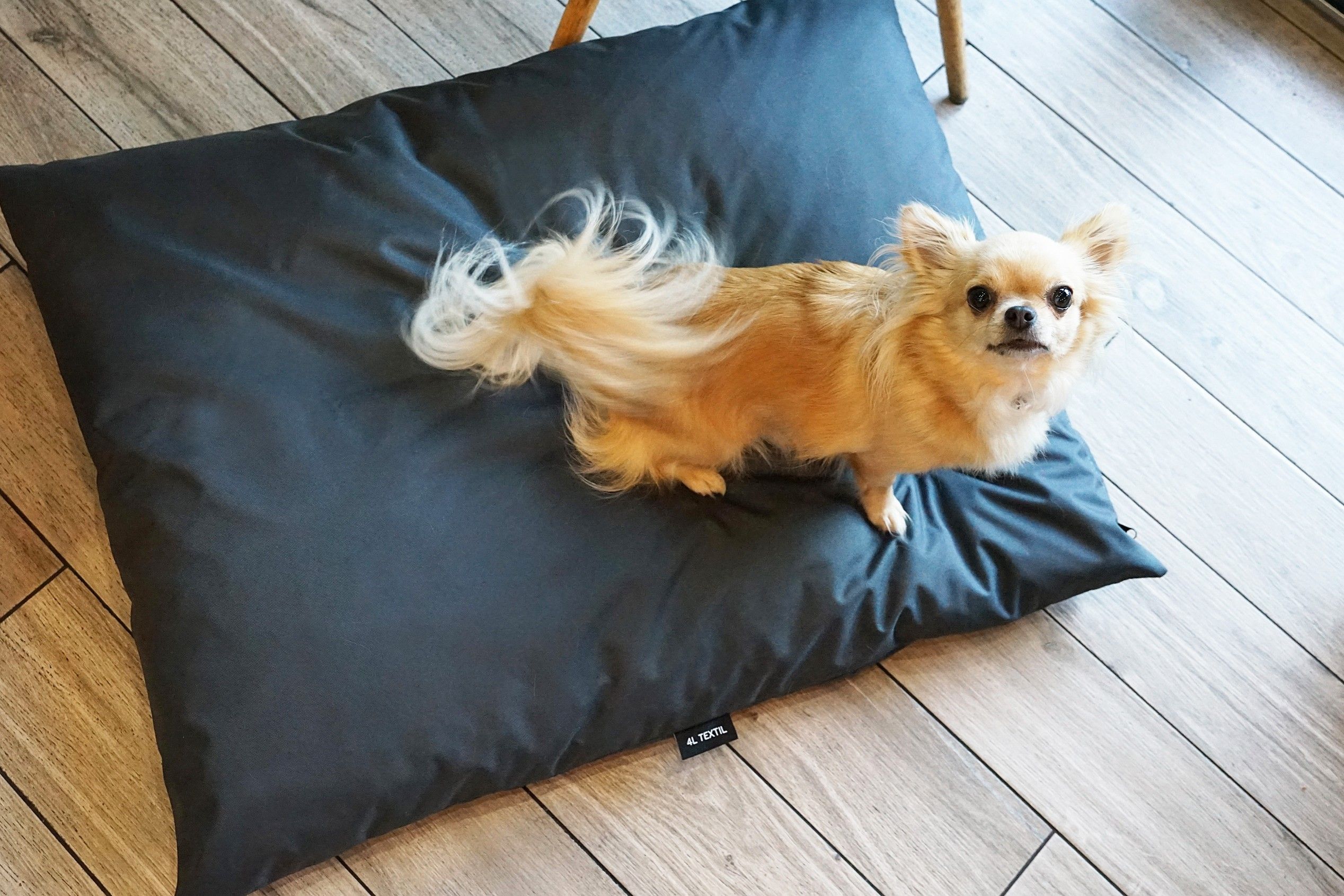 Wodoodporne legowisko poduszka dla psa ZOE (100x80 cm, Grafit)