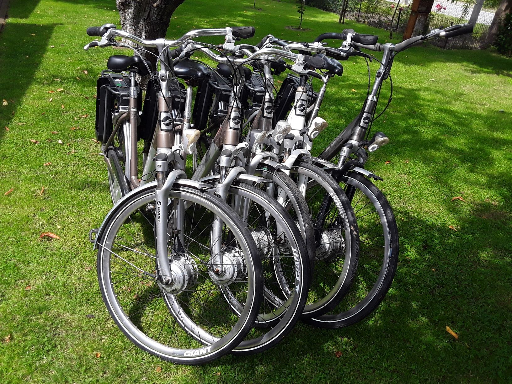 Zestaw pakiet rowerów elektrycznych Giant 36V