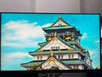 Monitor Dell  S2421HN 75Hz 24 cale