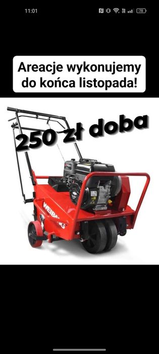 Glebogryzarka separacyjny wynajem Bielik Przodkowo