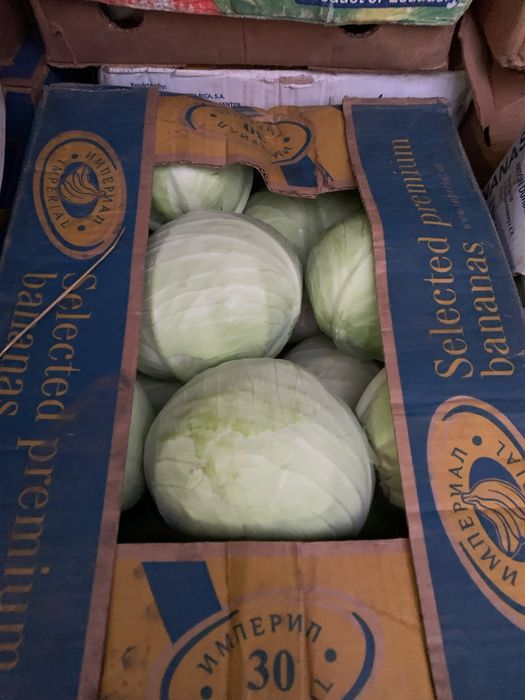 Подаж капусти є доставка