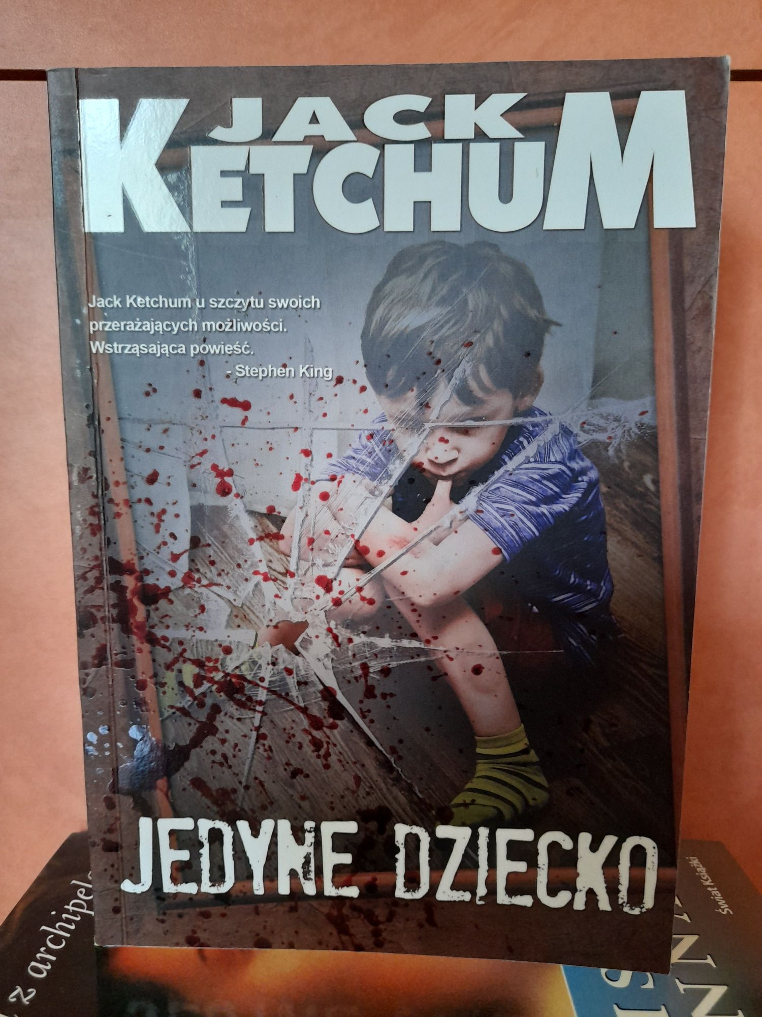 Jedyne dziecko Ketchum stara okladka