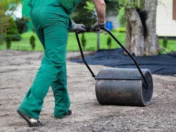 Zakładanie Trawnika Trawa z Rolki Trawnik Siew Trawniki Rolka | TANIO