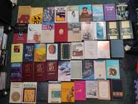 LIvros Autores Portugueses e Lusófonos - Cada 2 €