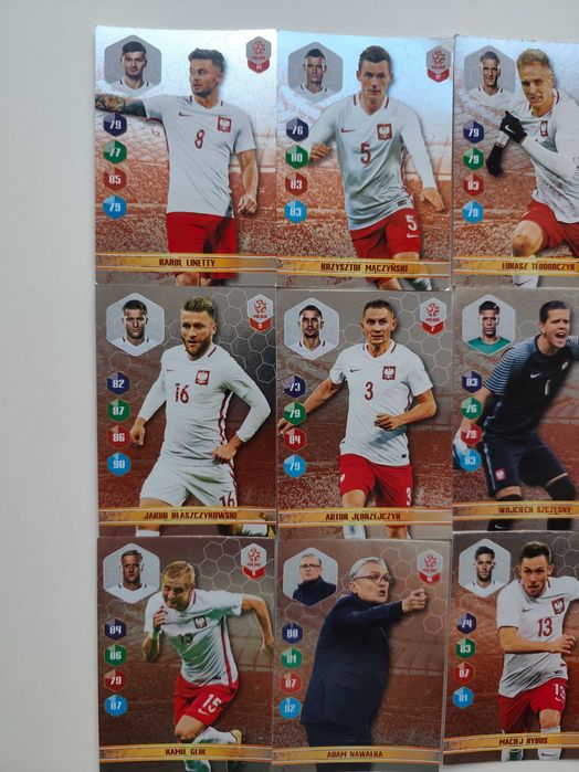 Karty Panini z Piłkarzami Dumni z Naszych 14 szt.