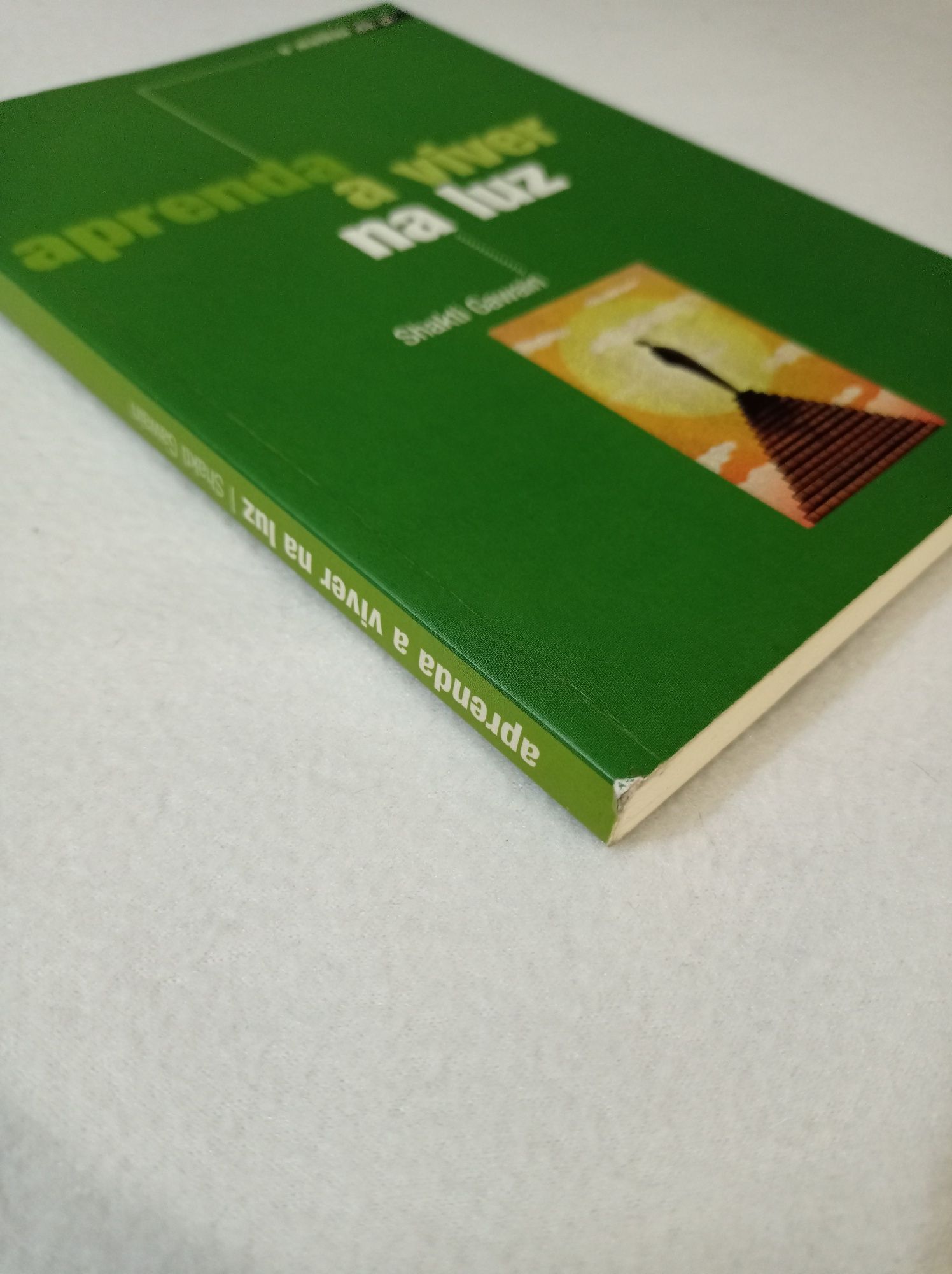 Aprenda a viver na luz - Shakti Gawain