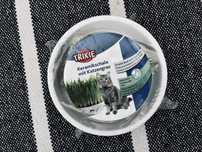 Miska Trixie, trawa dla kota, ceramika 300 ml