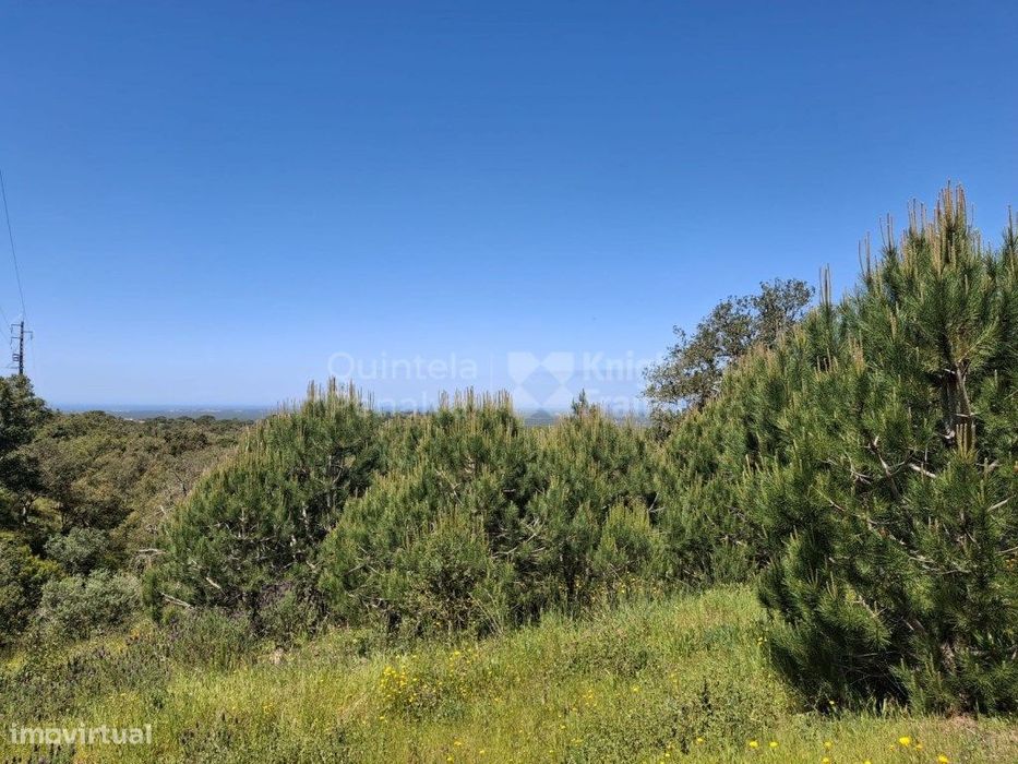 Monte com 4,7 hectares pip aprovado para habitação 500 m2 em Melide...