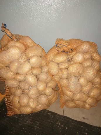 Sprzedam ziemniaki jadalne Denar, Soraya i Gala