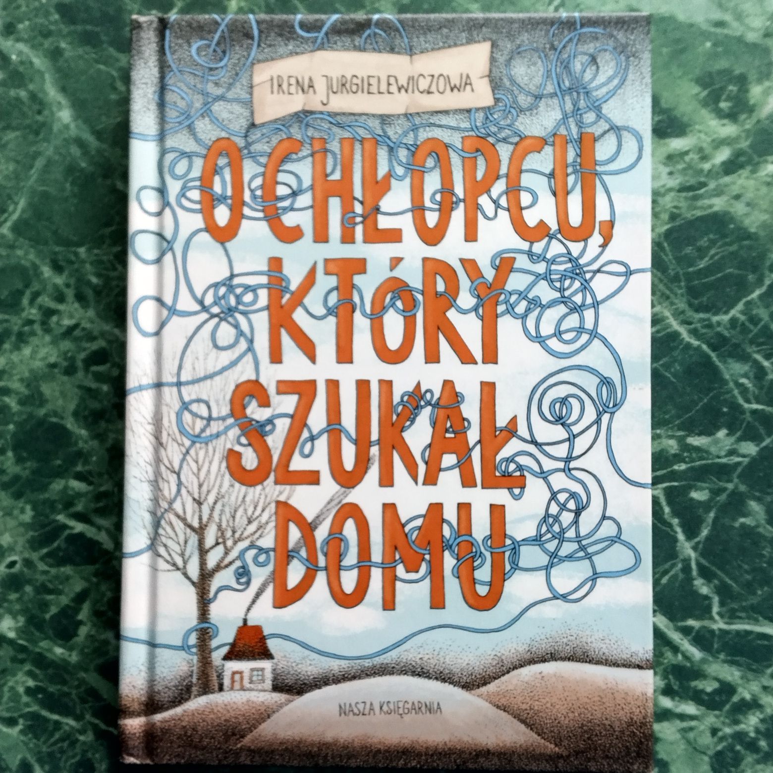 O chłopcu który szukał domu Irena Jurgielewiczowa