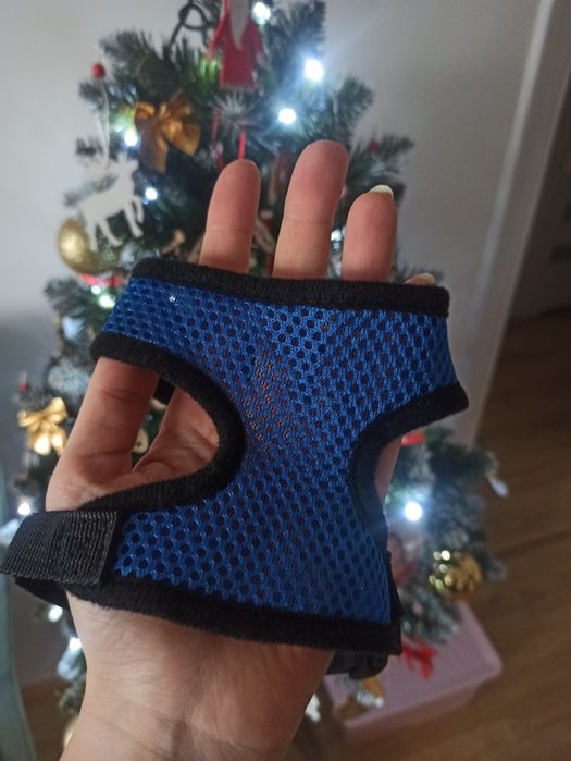 Nowe puszorki dla yorka