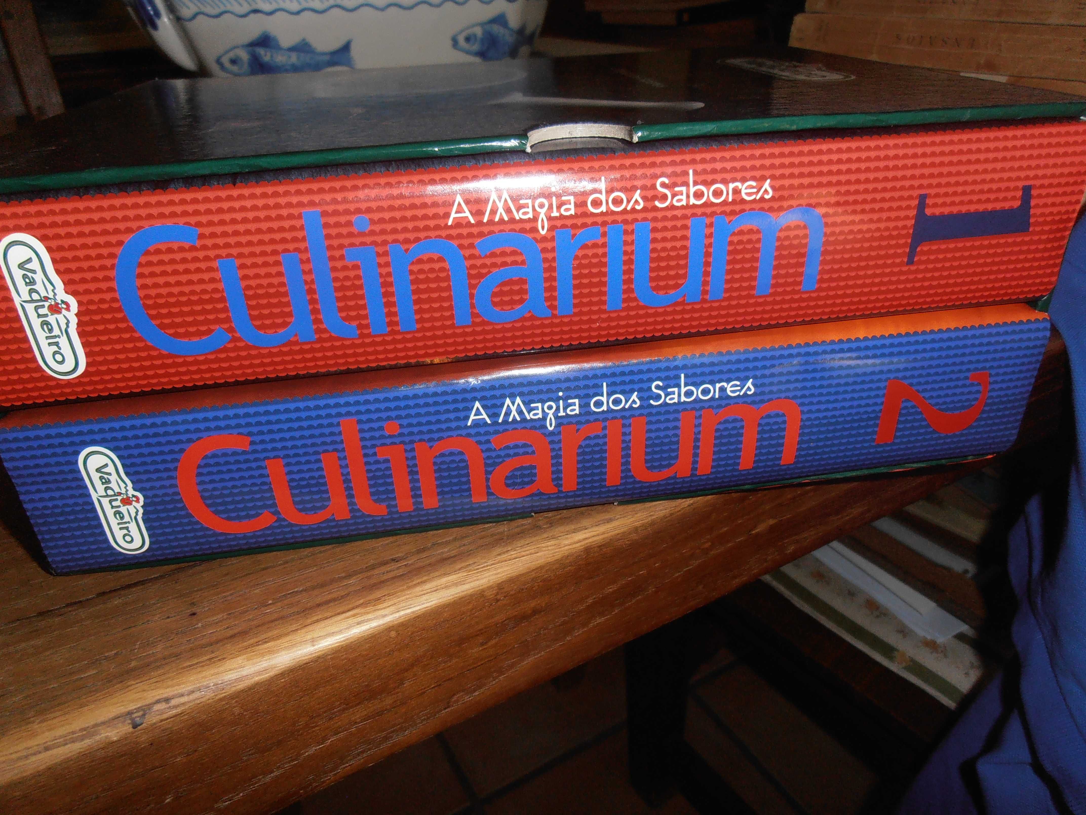 vaqueiro culinarium,a magia dos sabores,2 volumes,1ºed.,2001