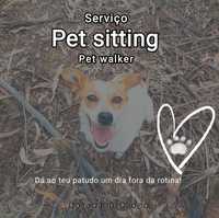 Pet sitting/pet walker